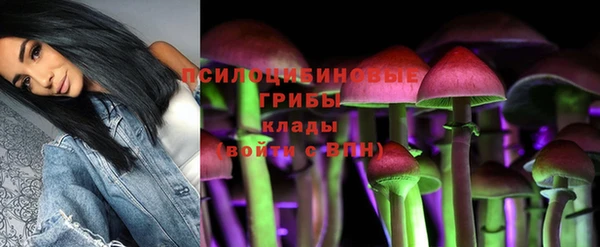 таблы Алексеевка