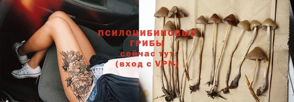 дмт Абинск