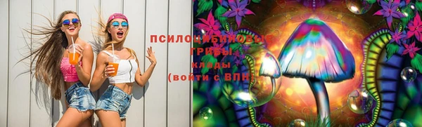 таблы Алексеевка