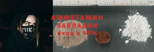 индика Абаза