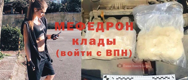 индика Абаза